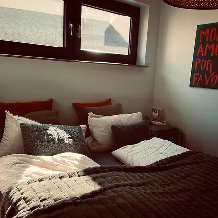 Zone 3 Apartment