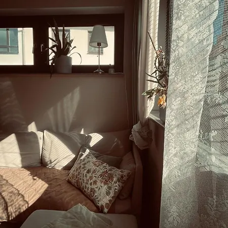Zone 3 Apartment
